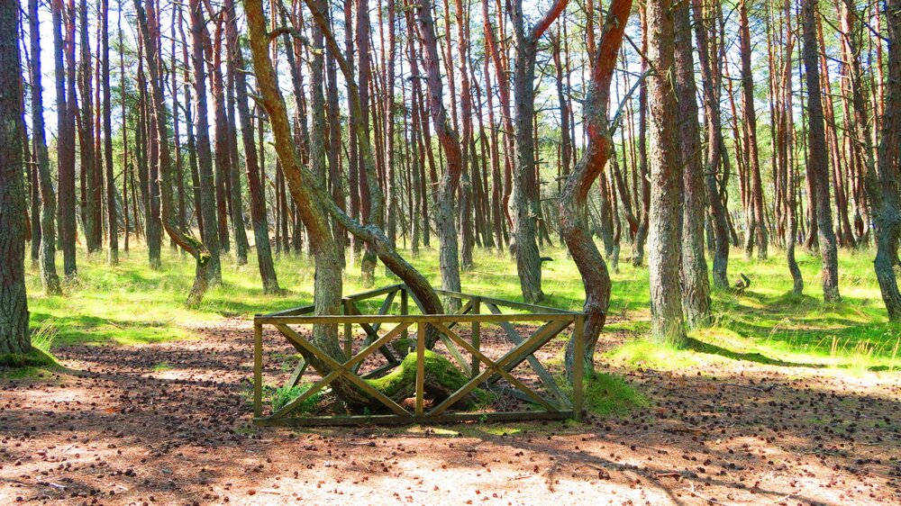 Калининград 491.jpg