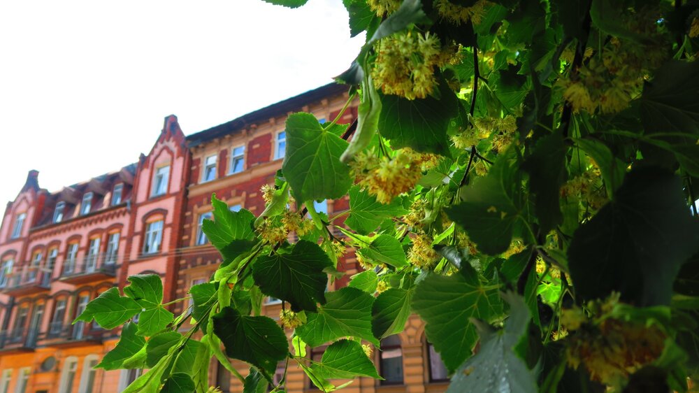 Калининград 292.jpg