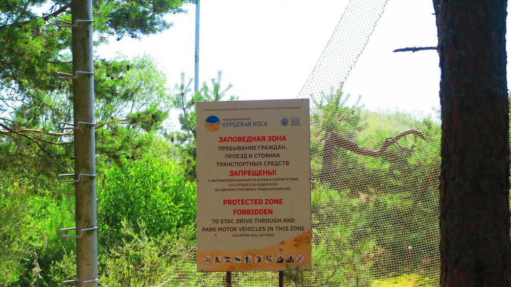 Калининград 474.jpg