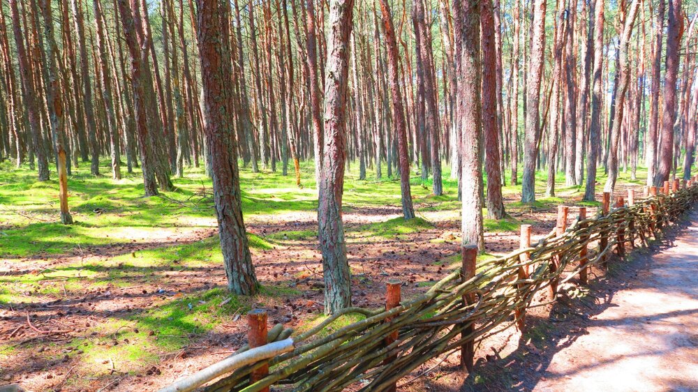 Калининград 483.jpg