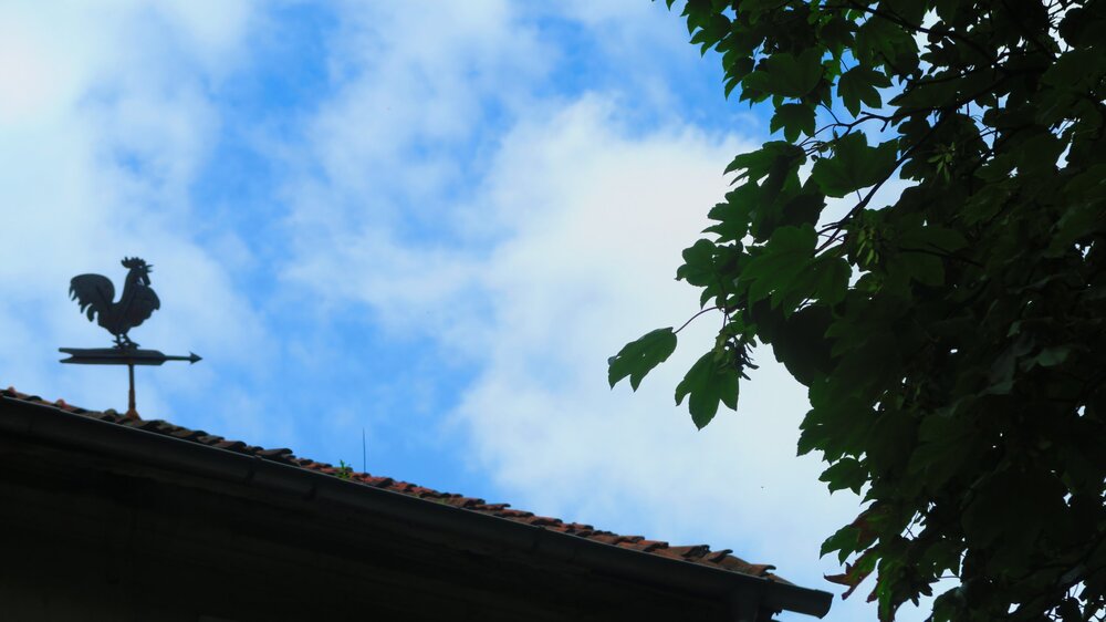 Калининград 173.jpg