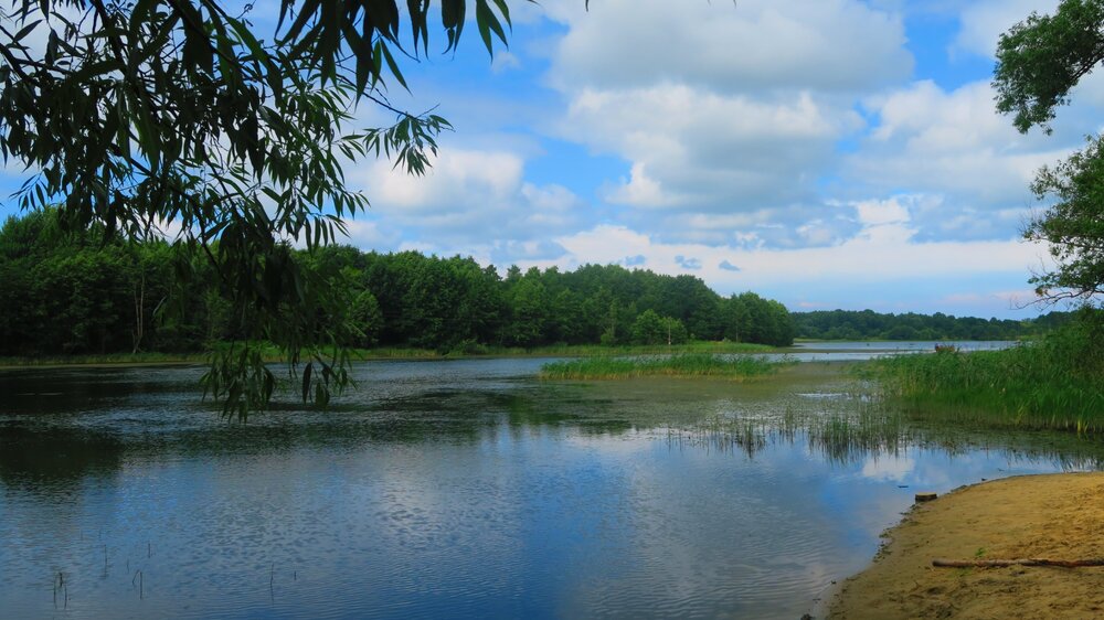 Калининград 861.jpg