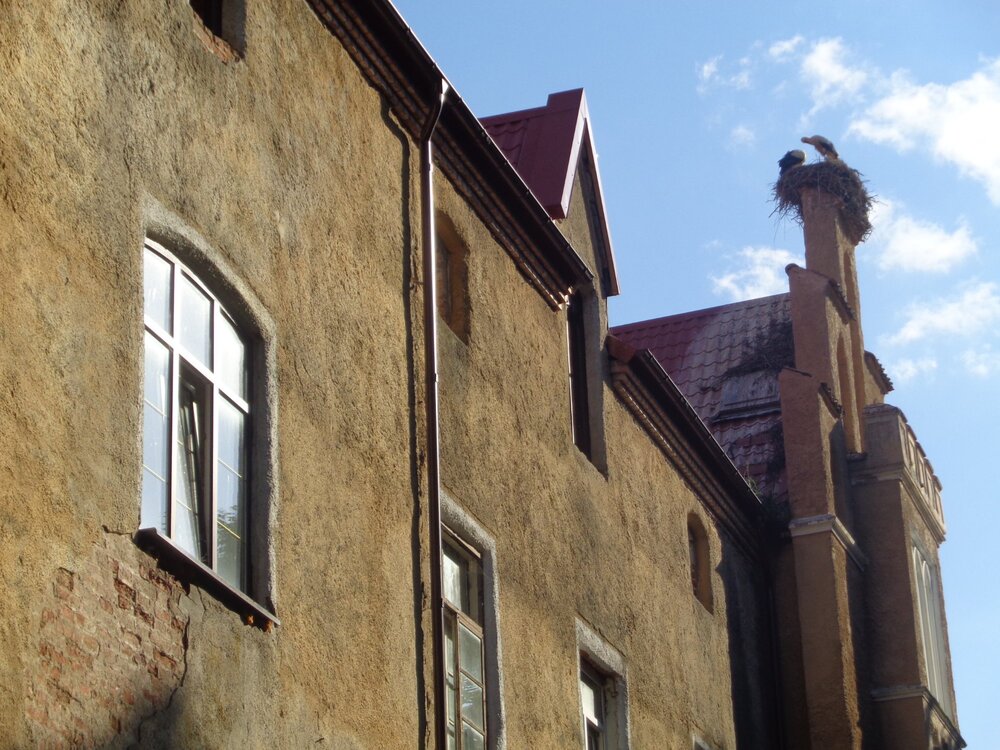 2Кениг зам1.JPG