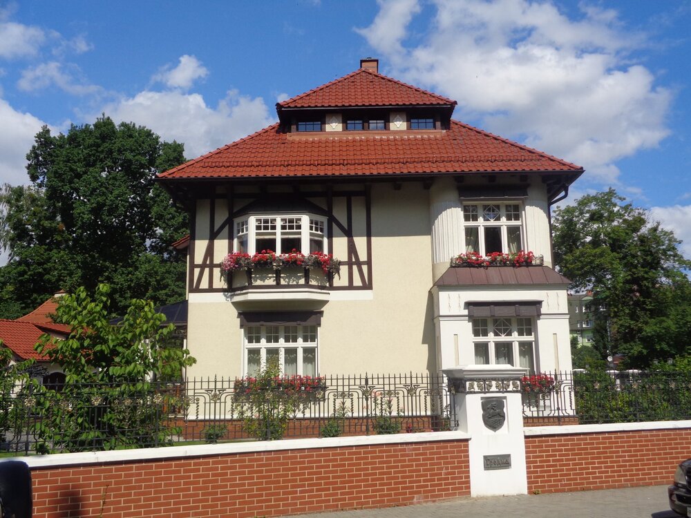 2Кениг кот1.JPG