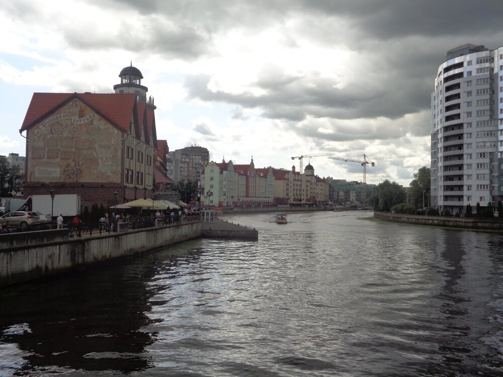 2Кениг рыб1.JPG