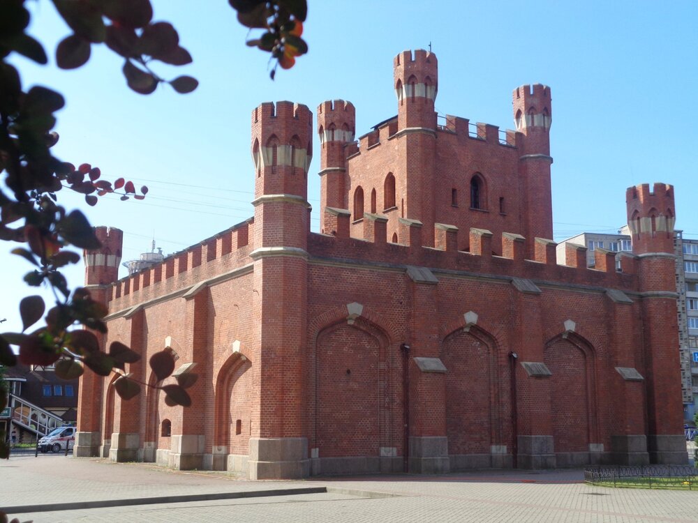 2Кениг ворота3.JPG