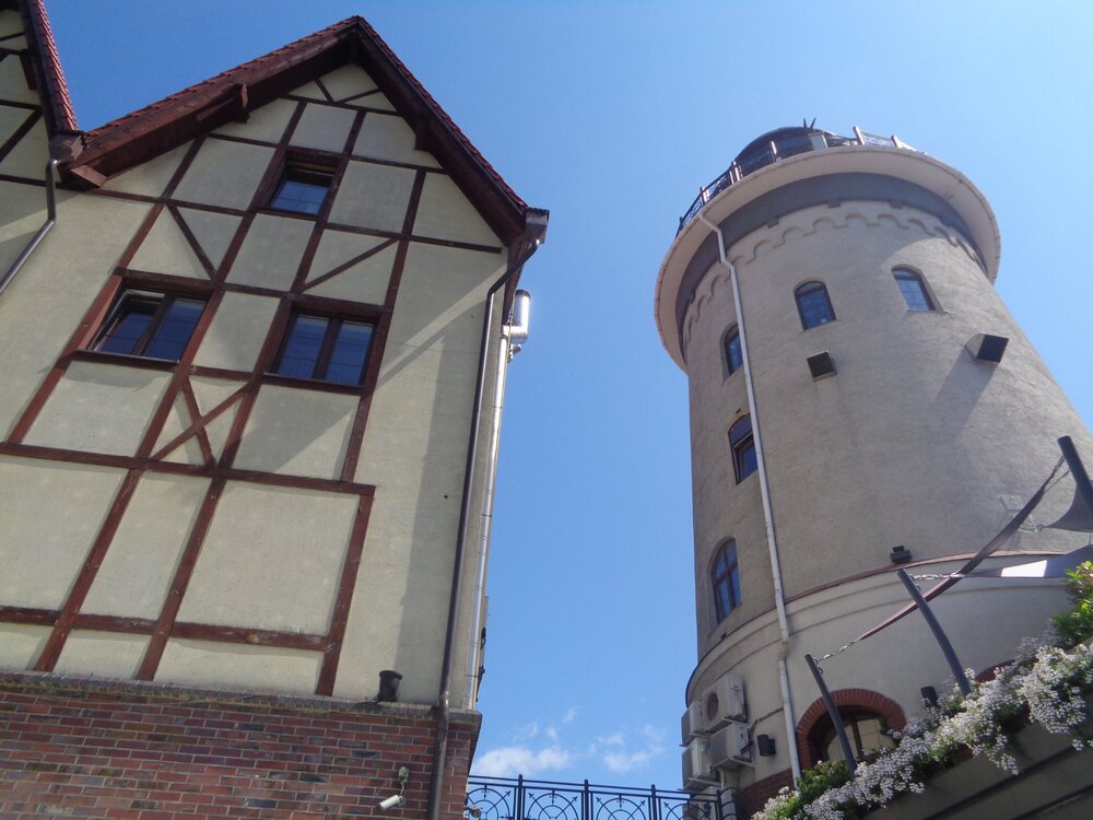 2Кениг рыба1.JPG