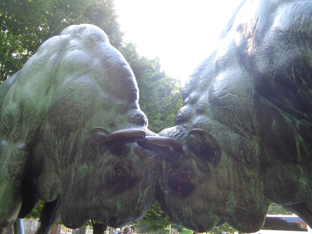 2Кениг звери3.JPG