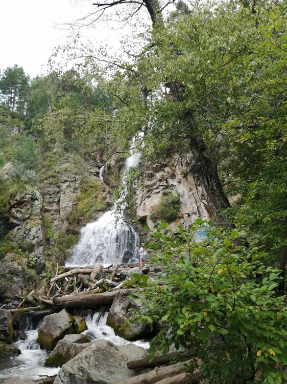 2021-08-11 14-53-27.JPG