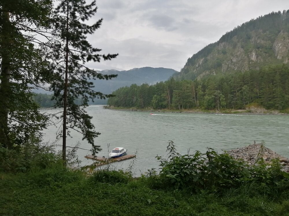 2021-08-11 09-15-39.JPG