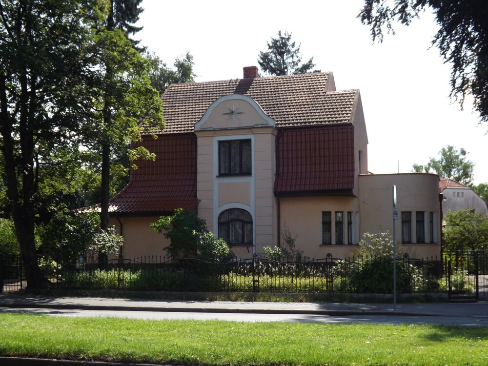 2Кениг кот3.JPG