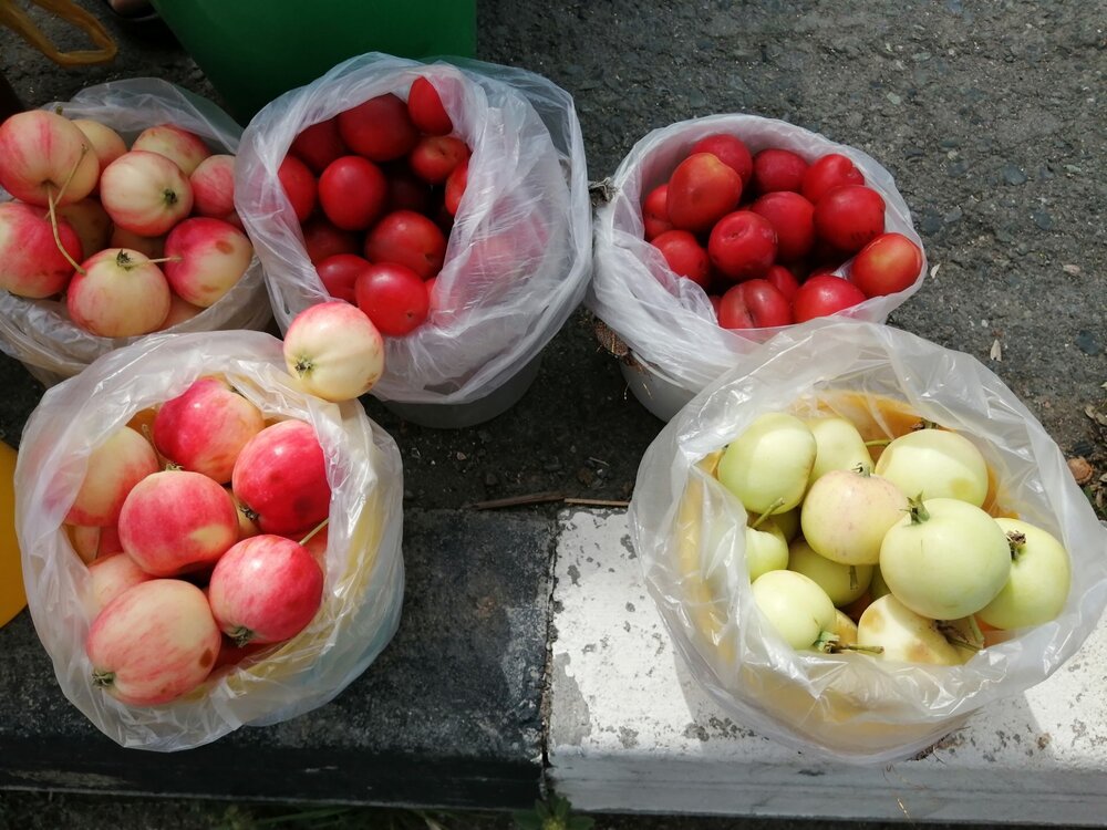 2021-08-17 12-19-45.JPG