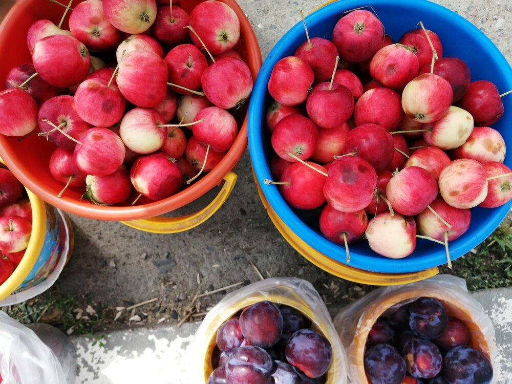 2021-08-17 12-19-53.JPG