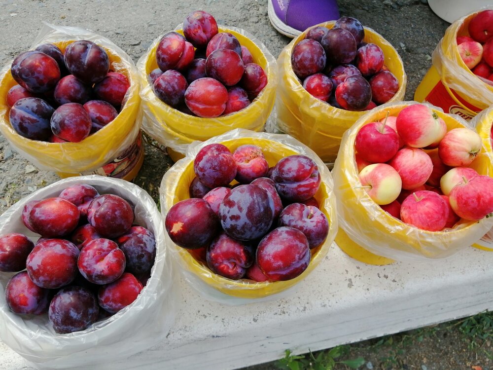 2021-08-17 12-19-30.JPG