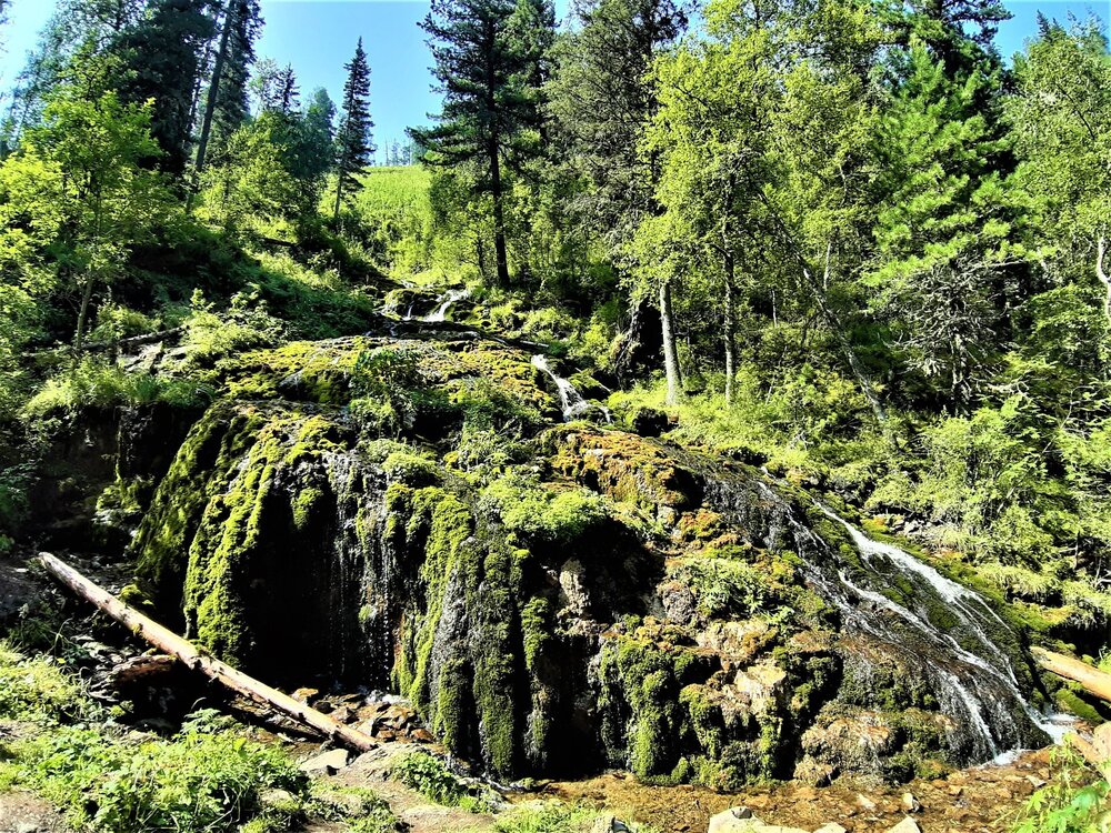 20210809_111936 (2).jpg