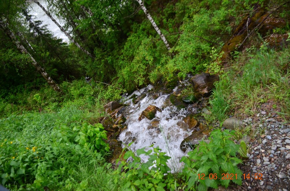115.JPG