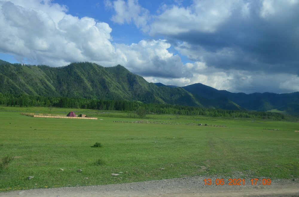 133.JPG