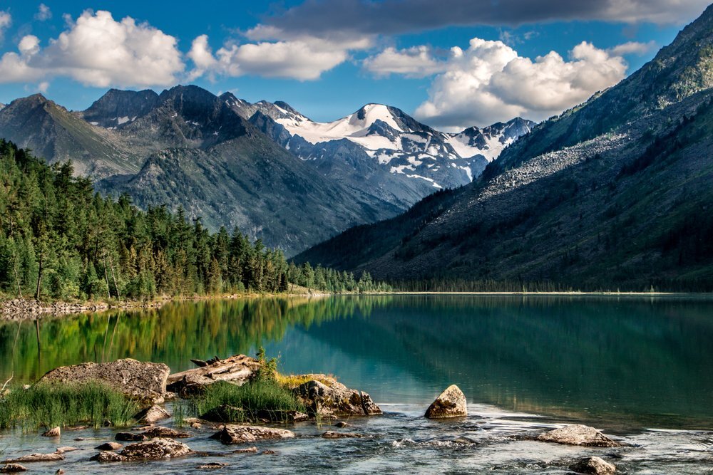 shutterstock_1364306576 (1).jpg