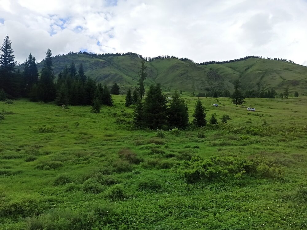 IMG_20210612_165702.jpg