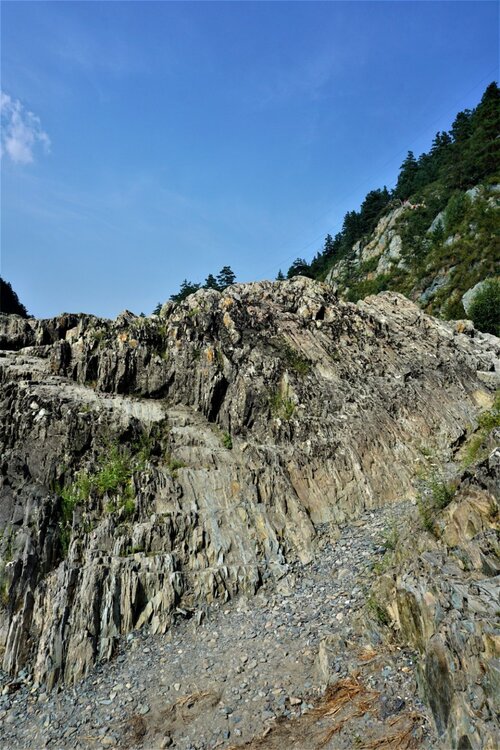 река Чемал2.jpg