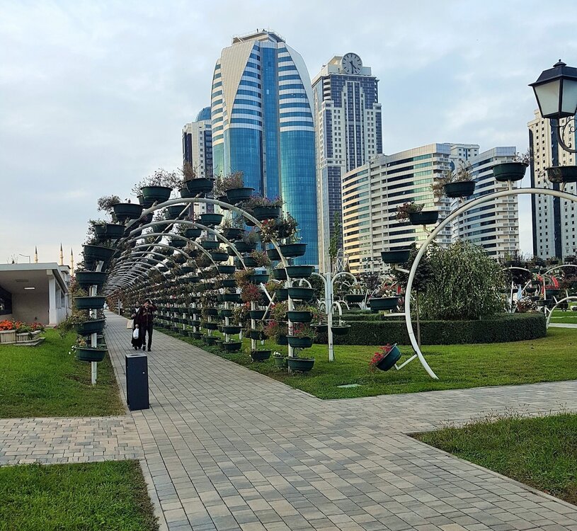 Грозный Сити и цветочный парк.jpg