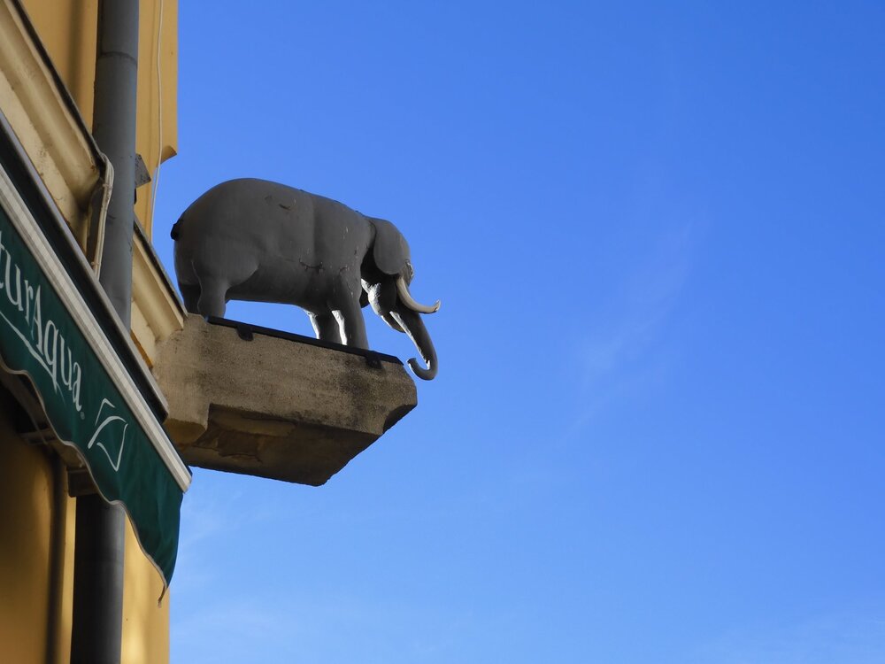 DSCN0177 _ 1 (17).JPG