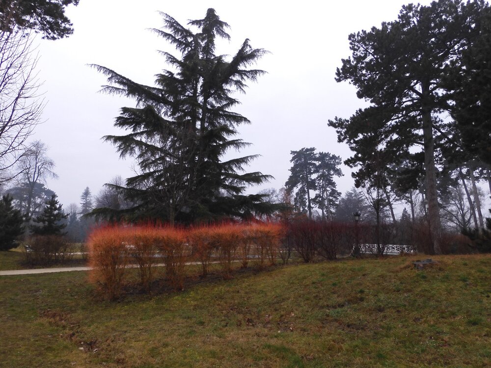 DSCN0177 _ 1 (105).JPG