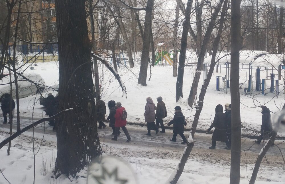 туристы за окном.jpg