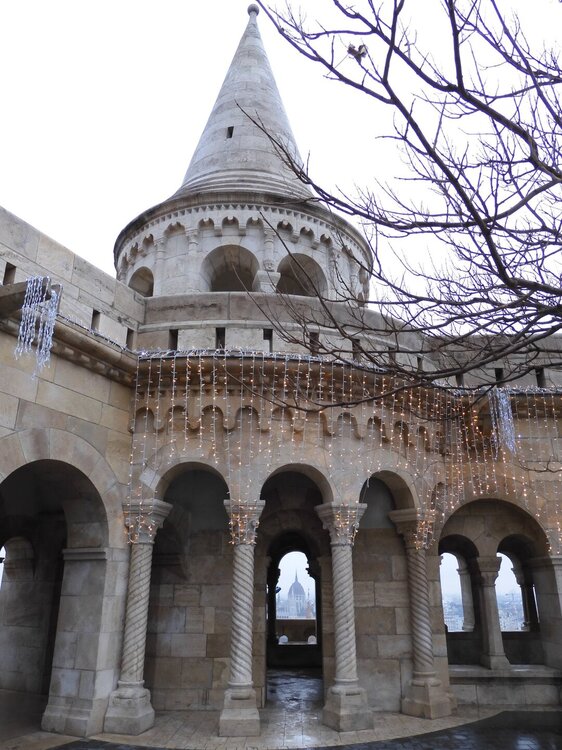 DSCN0177 _ 1 (56).JPG