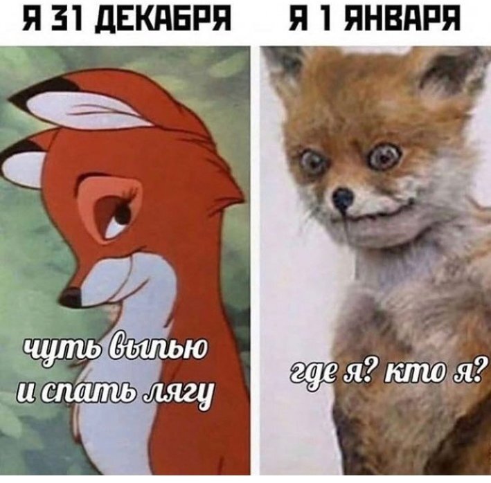 ЛИСЕНОК.jpg