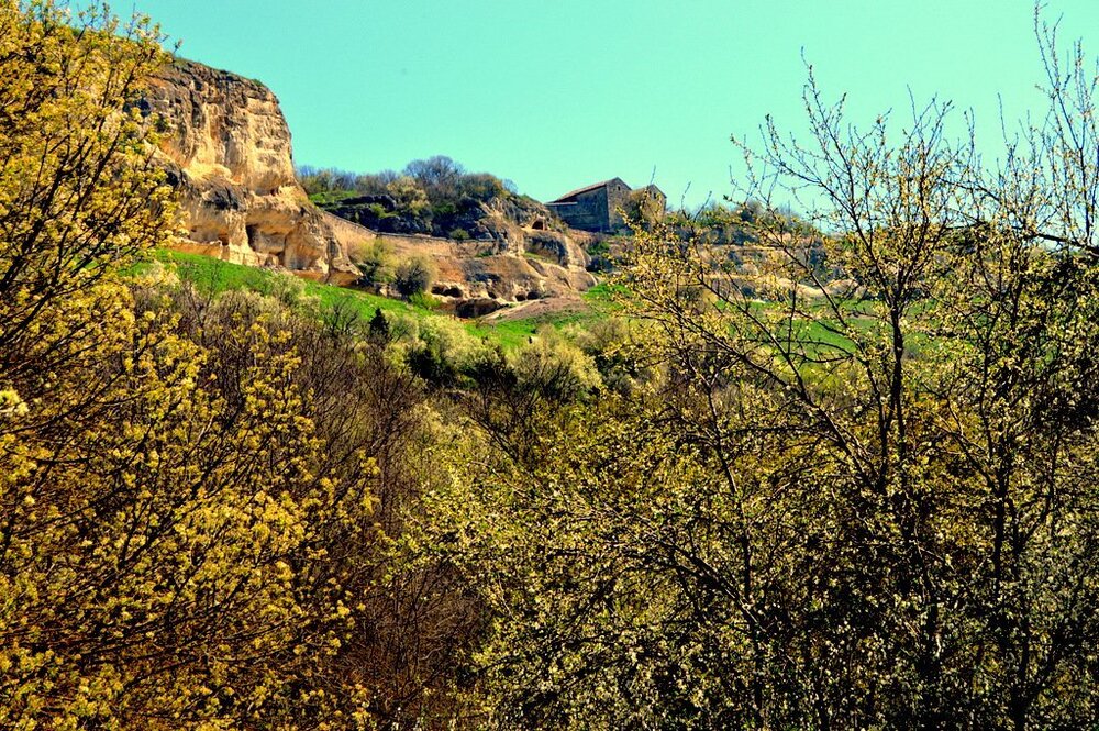 DSC_0409.jpg