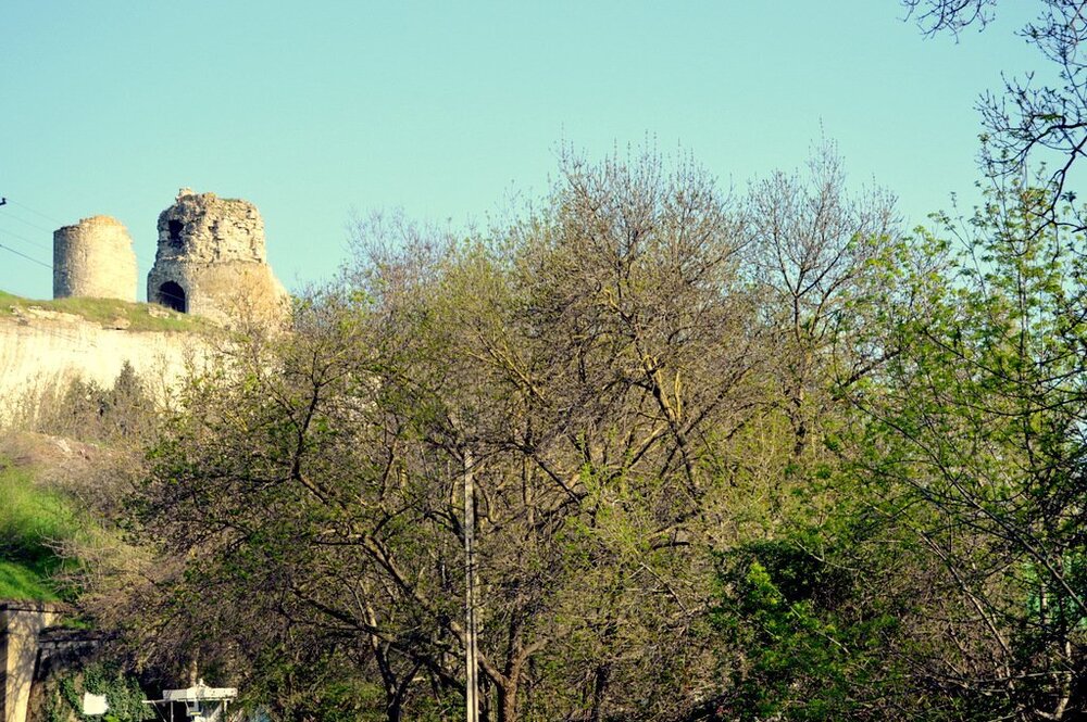 DSC_0663.jpg