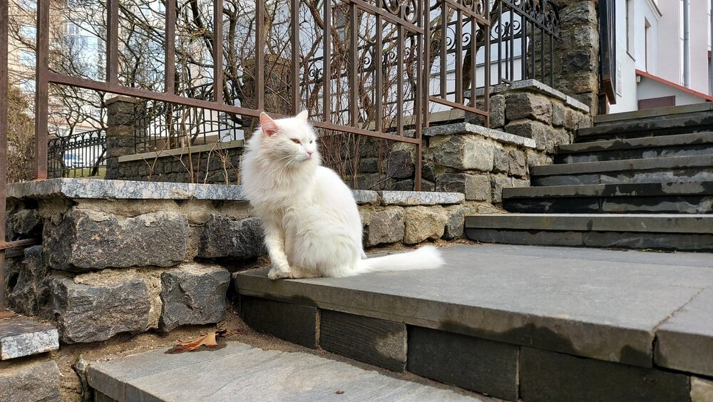 20220407_140000 (1).jpg