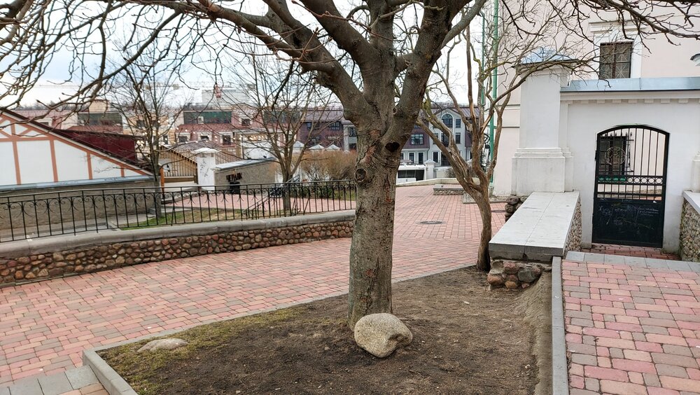 20220407_180119 (1).jpg