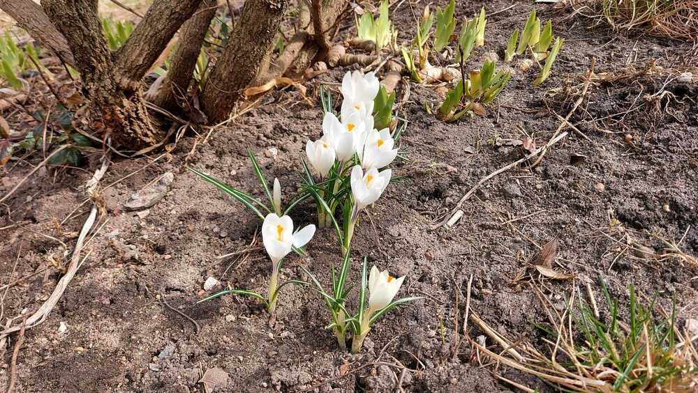 20220407_140512 (1).jpg