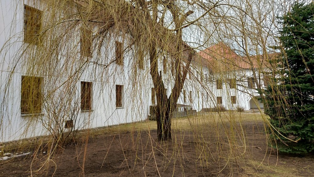 20220407_175550 (1).jpg