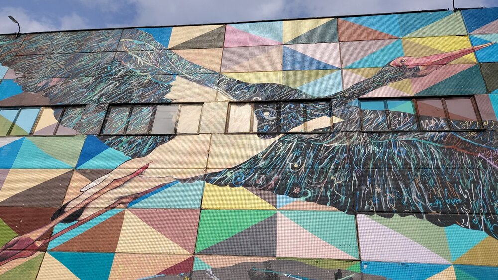 20220407_154953 (1).jpg