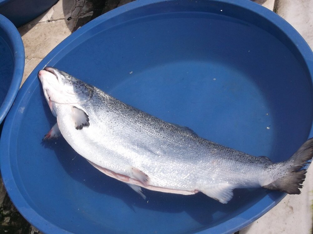 Путешествие в Стамбул 298.JPG