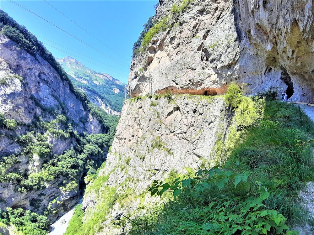 20210719_124841 (2).jpg