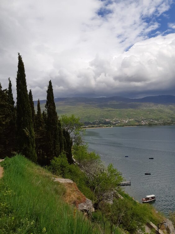 WhatsApp Image 2022-06-07 at 15.06.42 (3).jpeg