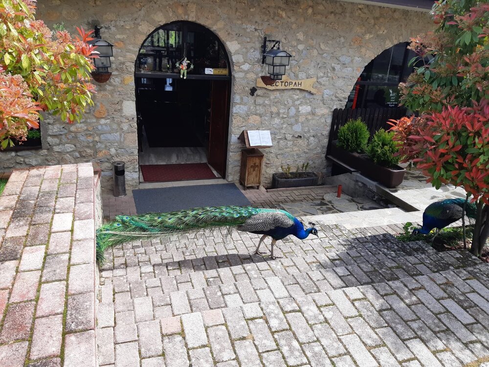 WhatsApp Image 2022-06-07 at 15.06.42.jpeg