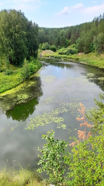 20220718_151019.jpg