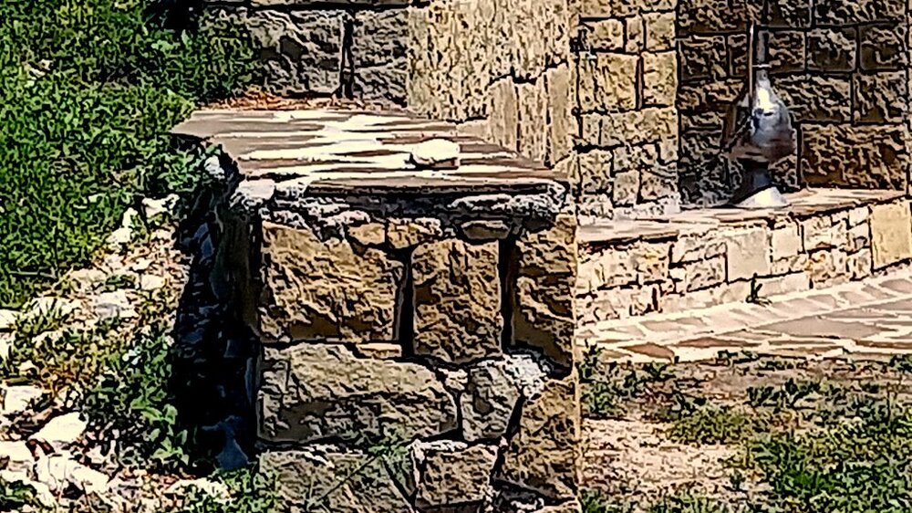 20220716_132332.JPG