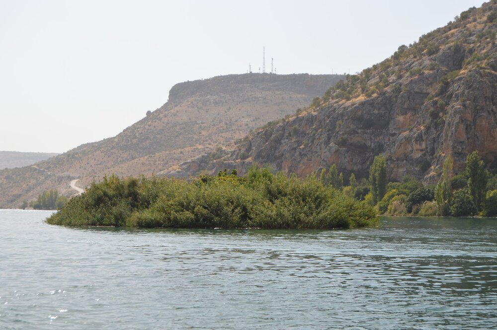 DSC_0116.JPG
