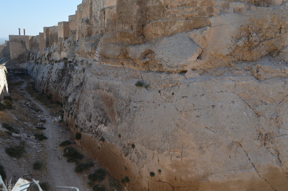 DSC_0427.JPG