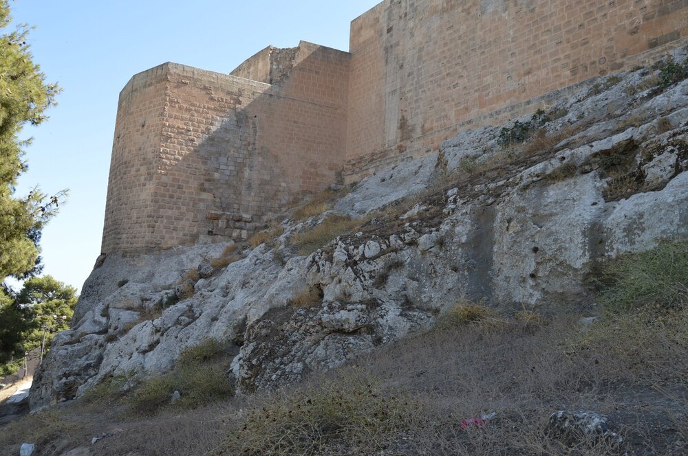 DSC_0431.JPG