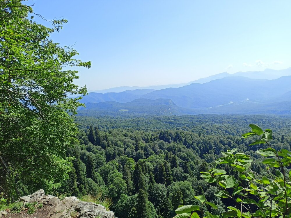 IMG20220813103626.jpg