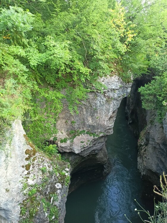 IMG20220813183804.jpg