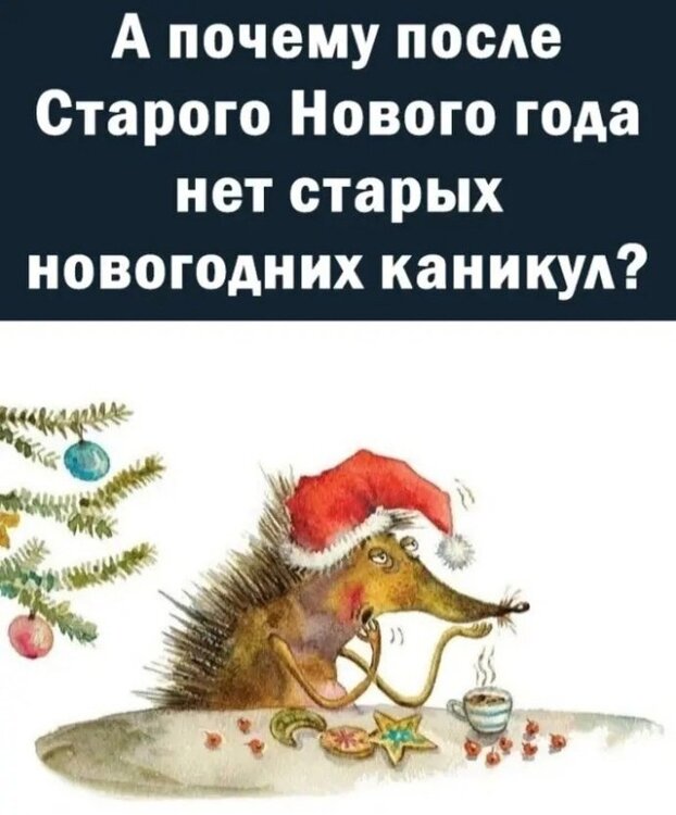 o-DcM_xIQSE.jpg