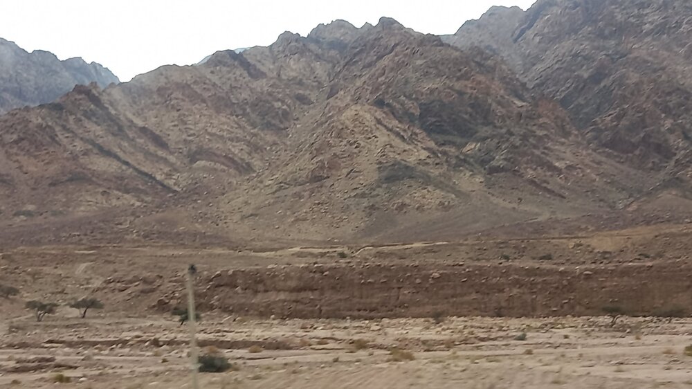 20230109_104229.jpg